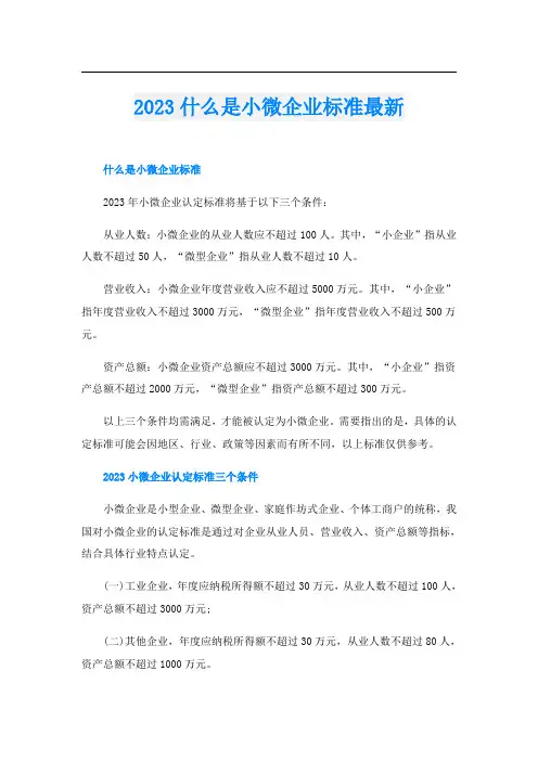 2023什么是小微企业标准最新
