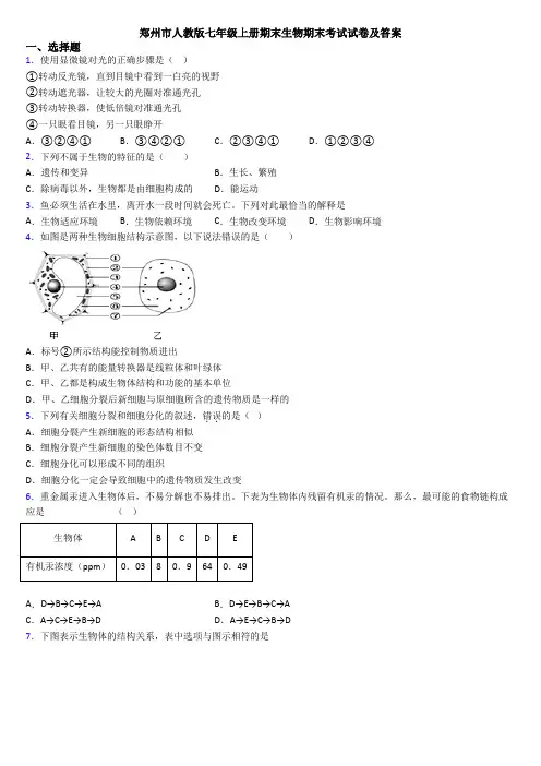 郑州市人教版七年级上册期末生物期末考试试卷及答案