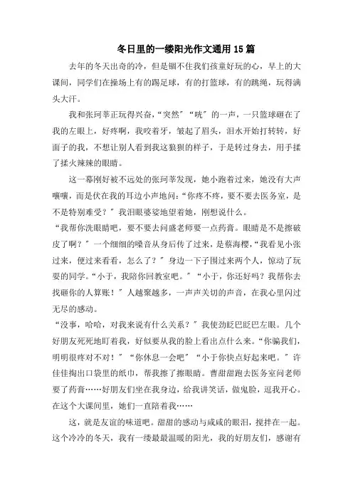 冬日里的一缕阳光作文通用15篇范文精选