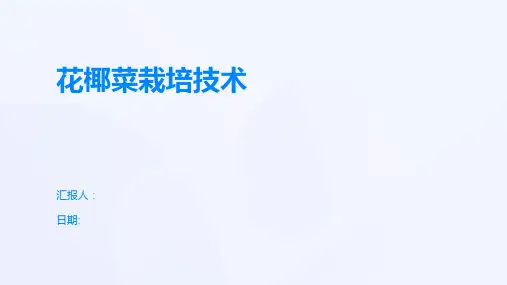 花椰菜栽培技术