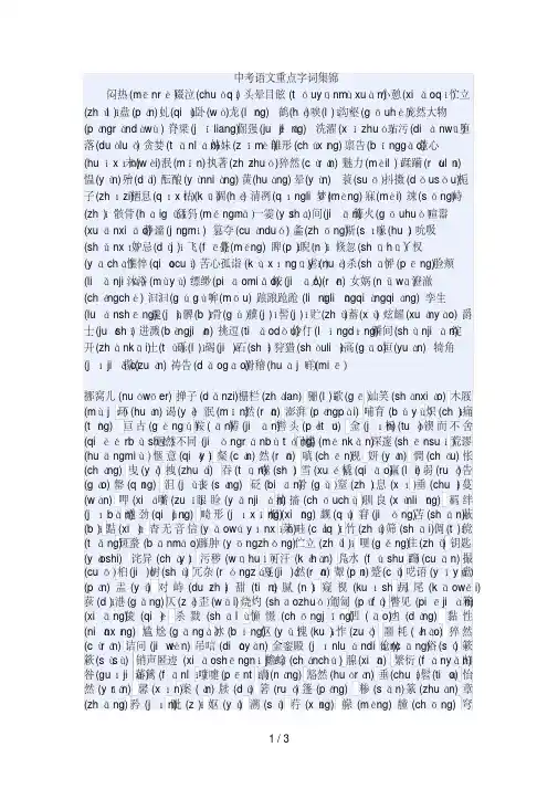 中考语文重点字词集锦
