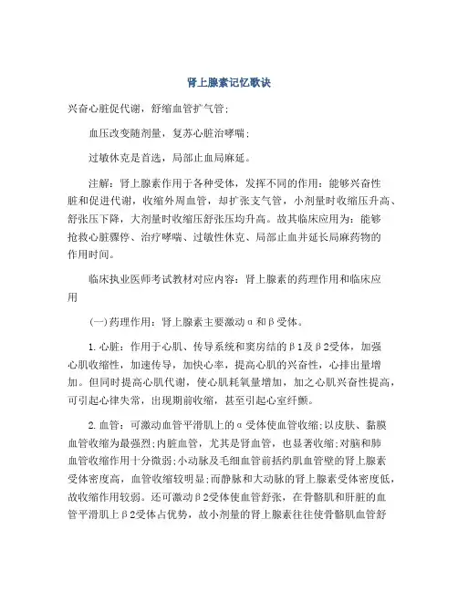 肾上腺素记忆歌诀