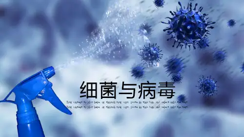 ppt模板：长春长生疫苗事件监管接种疫苗安全通用模板课件