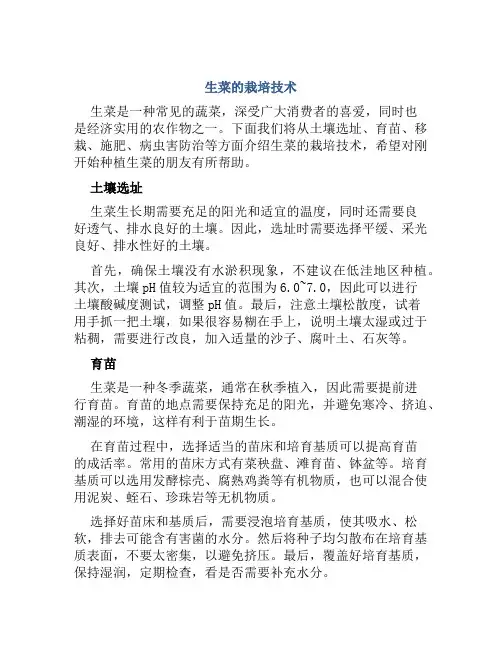 生菜的栽培技术