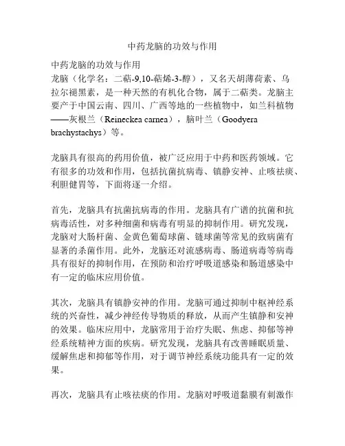 中药龙脑的功效与作用