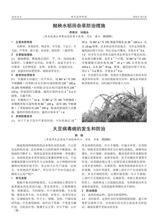抛秧水稻田杂草防治措施