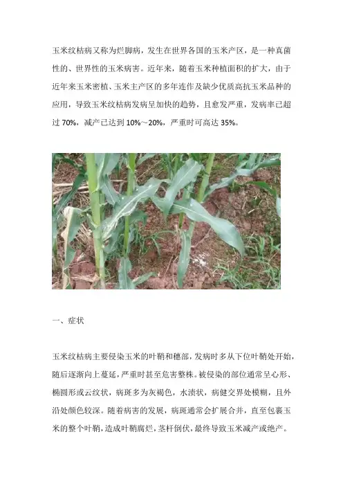玉米纹枯病的发生与防治