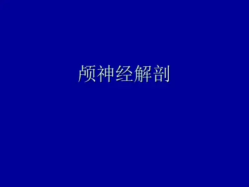 十二对颅神经1
