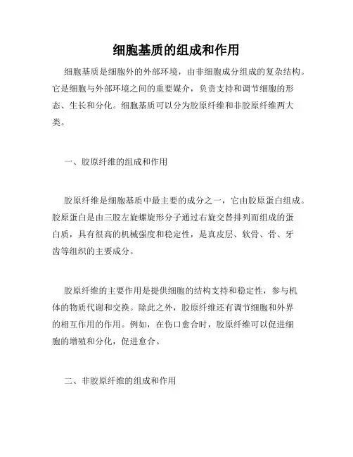 细胞基质的组成和作用