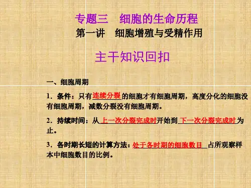 高考生物二轮复习 专题三 细胞的生命历程精品名师课件