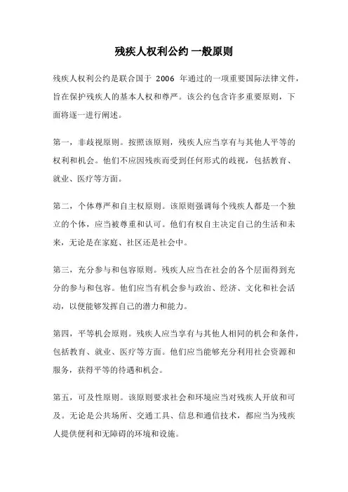 残疾人权利公约 一般原则
