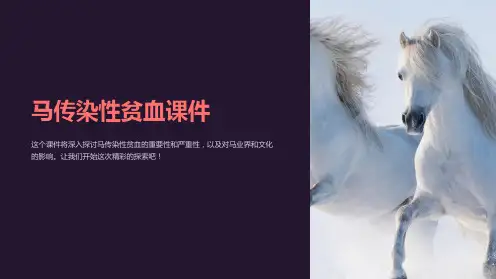 马传染性贫血课件