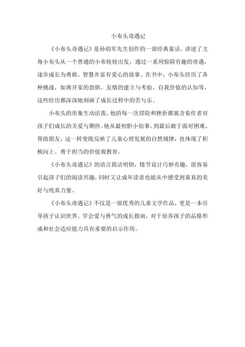 小布头奇遇记