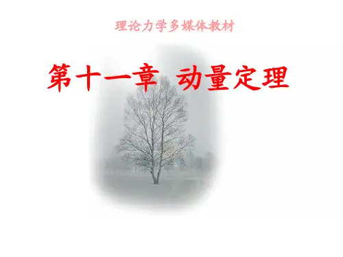 第11章动量定理