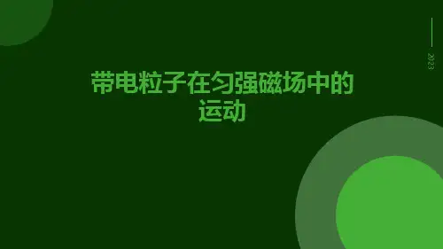 带电粒子在匀强磁场中的运动ppt