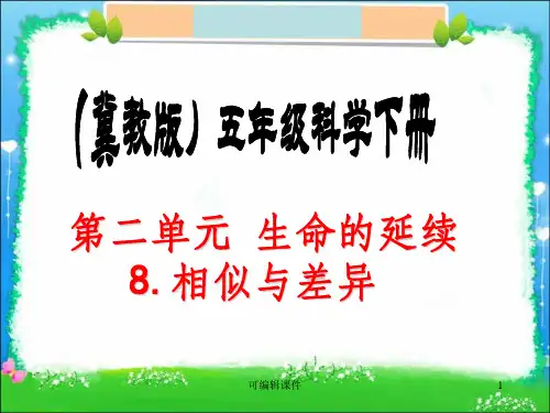 (冀教版)五年级科学下册《相似与差异》完整PPT课件