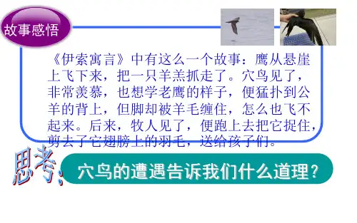 《认识自己》ppt课件