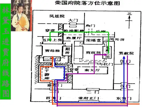 红楼梦人物关系图PPT课件