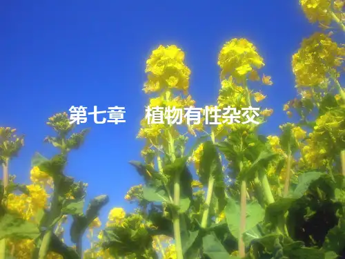 第七章 植物有性杂交