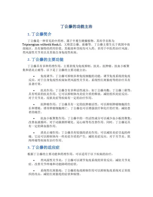丁公藤的功能主治