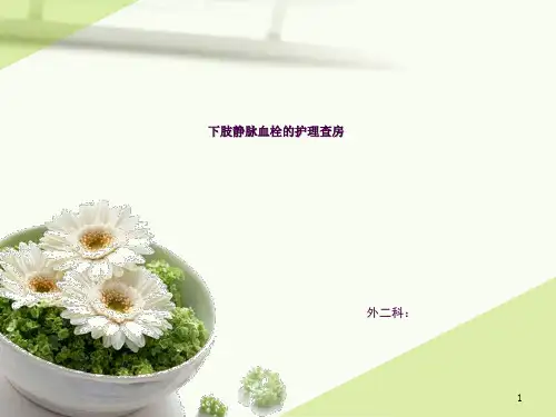下肢静脉血栓护理查房 (2)ppt课件