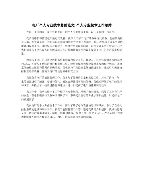 电厂个人专业技术总结范文_个人专业技术工作总结