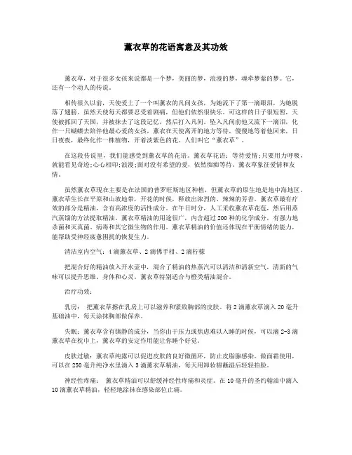 薰衣草的花语寓意及其功效