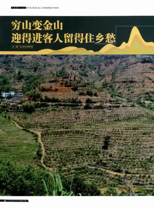 穷山变金山 迎得进客人留得住乡愁