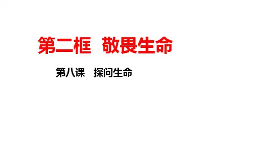 8.2 敬畏生命 课件(18张PPT)-2023-2024学年部编版道德与法治七年级上册