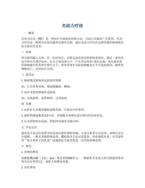 光动力疗法