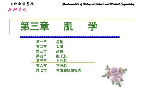 第三章肌学——精选推荐