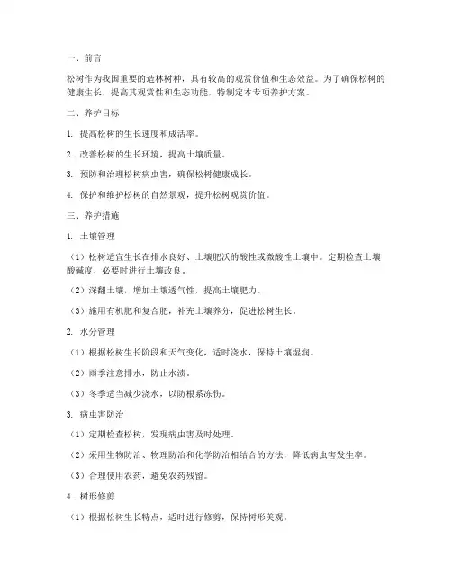 松树的专项养护方案