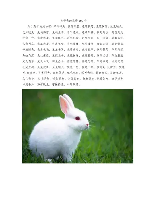关于兔的成语100个