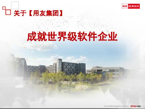 用友政务软件