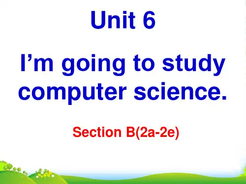 人教版英语八年级上Unit6 SectionB2a2e(共36张PPT)