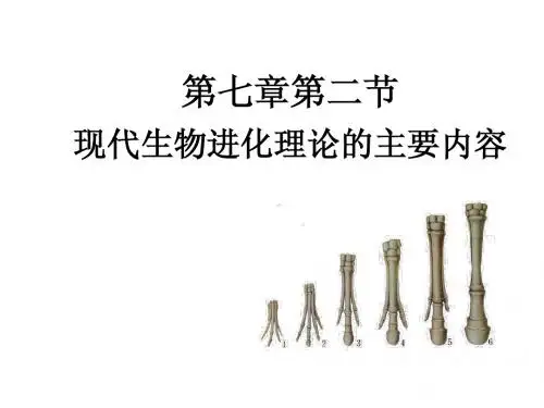 生物必修2-(推荐)现代生物进化理论的主要内容