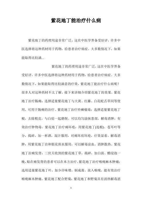 紫花地丁能治疗什么病