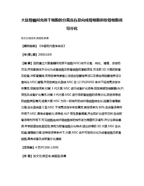 大鼠骨髓间充质干细胞的分离冻存及向成骨细胞和软骨细胞诱导分化