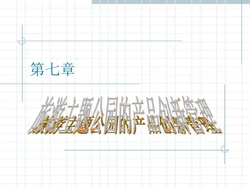 第七章产品创新