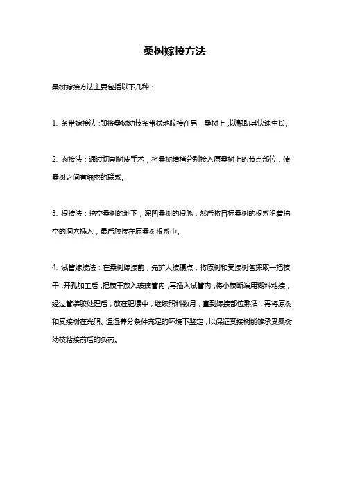 桑树嫁接方法