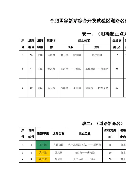 合肥国家新站综合开发试验区道路名称规划一览表