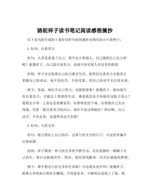 骆驼祥子读书笔记阅读感想摘抄