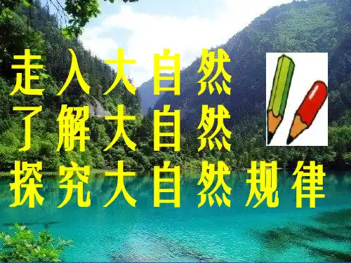 人教版小学语文四年级下-精品PPT课件  自然之道