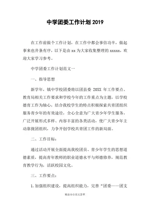 中学团委工作计划2019