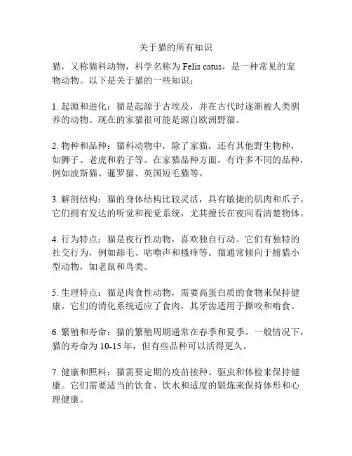 关于猫的所有知识