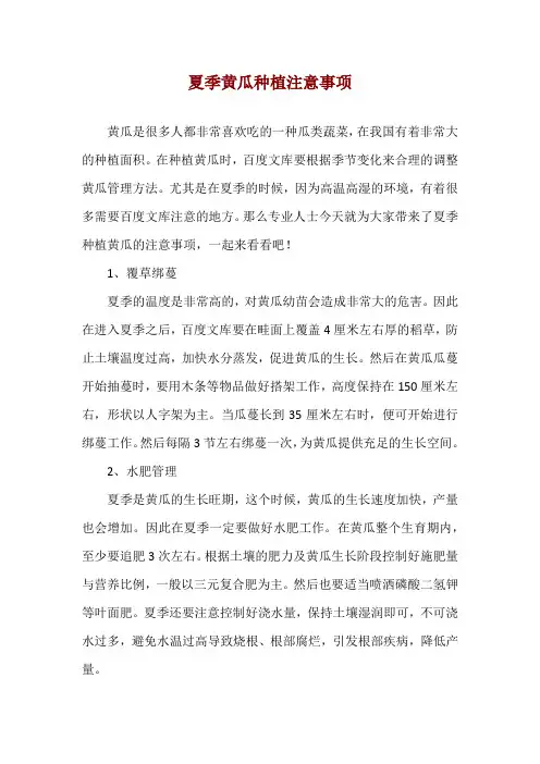 夏季黄瓜种植注意事项
