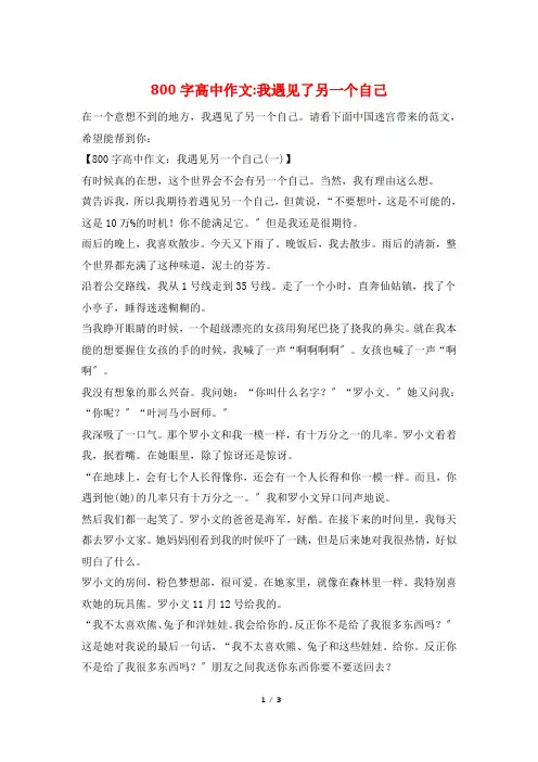 800字高中作文-我遇见了另一个自己