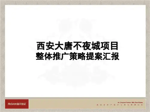 西安大唐不夜城项目整体推广策略提案报告
