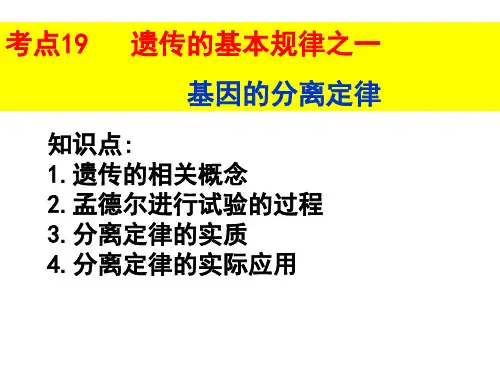 考点19  分离定律