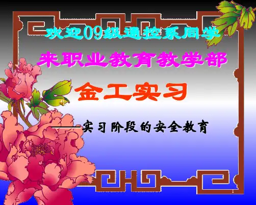 实习阶段的安全教育课件(共48张PPT)